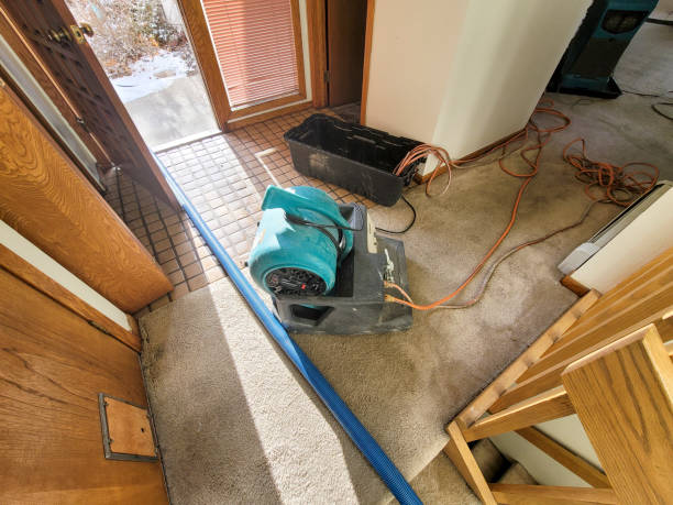 Best Fire Damage Restoration  in Bethany, OK