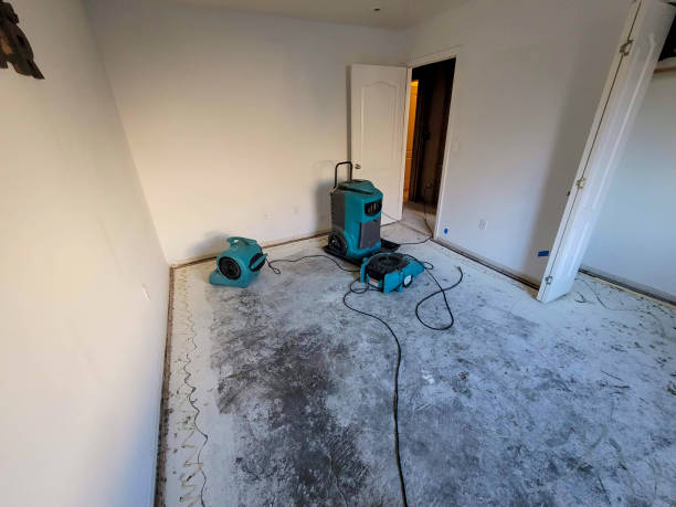 Best Professional water damage repair  in Bethany, OK