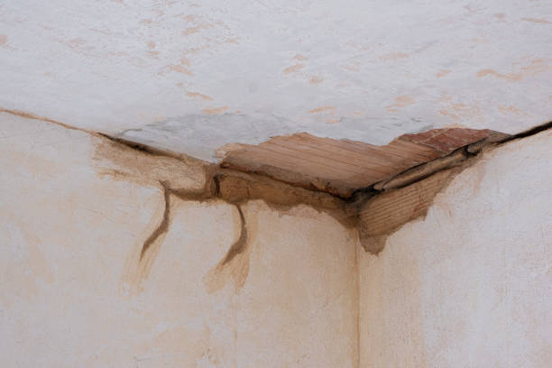 Best Local water damage restoration  in Bethany, OK
