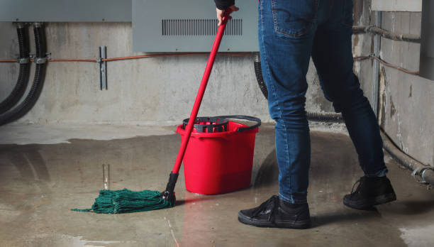 Best Ceiling water damage repair  in Bethany, OK